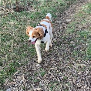 Meet your Posher, Fan